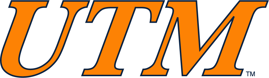 Tennessee-Martin Skyhawks 2007-2017 Wordmark Logo DIY iron on transfer (heat transfer)